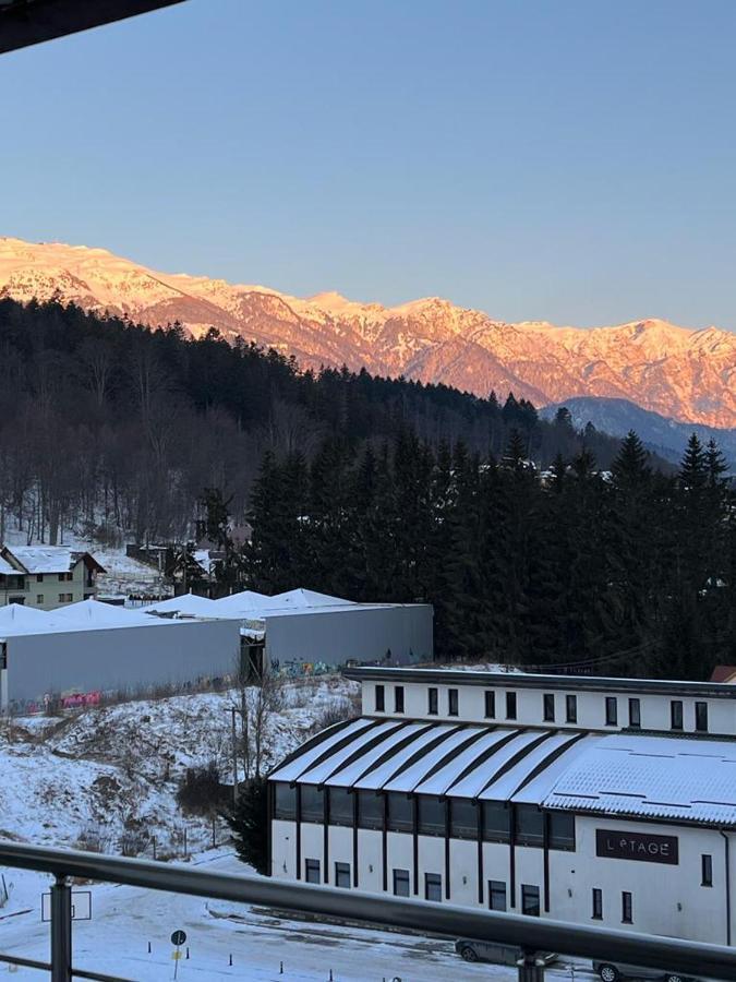 Coca Apart Mountain View Sinaia Eksteriør billede
