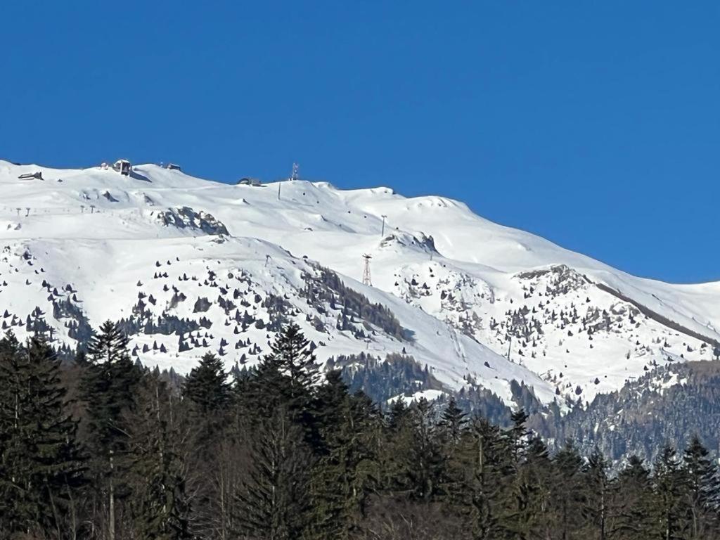 Coca Apart Mountain View Sinaia Eksteriør billede
