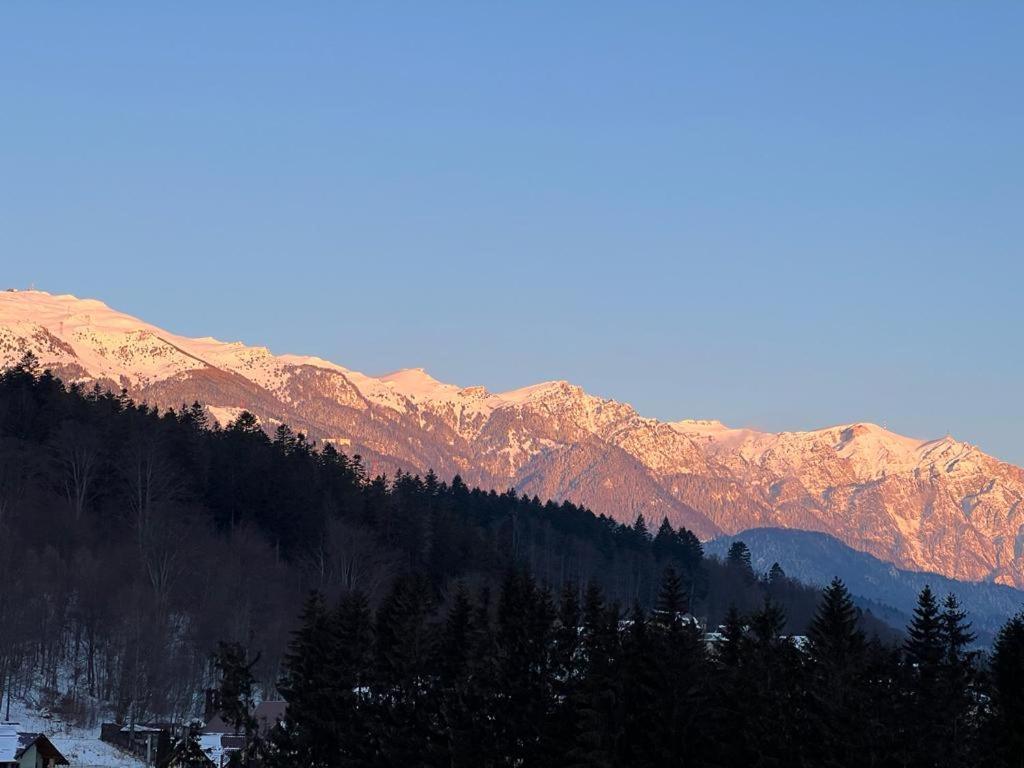 Coca Apart Mountain View Sinaia Eksteriør billede