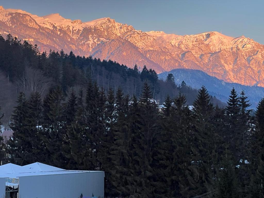 Coca Apart Mountain View Sinaia Eksteriør billede