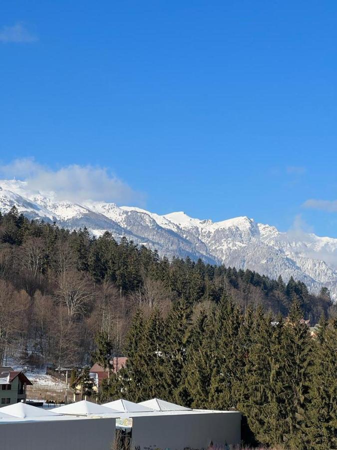 Coca Apart Mountain View Sinaia Eksteriør billede