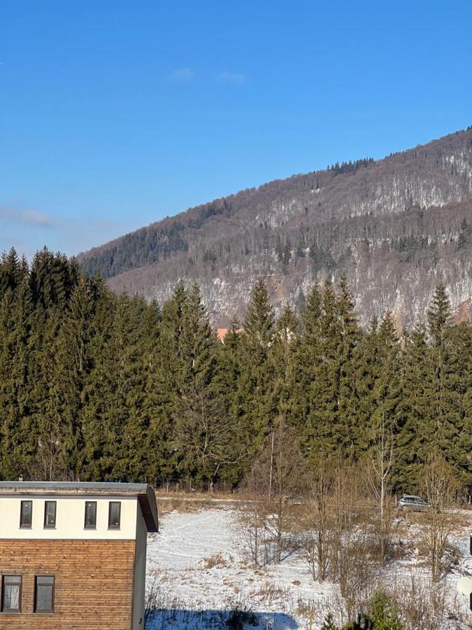Coca Apart Mountain View Sinaia Eksteriør billede