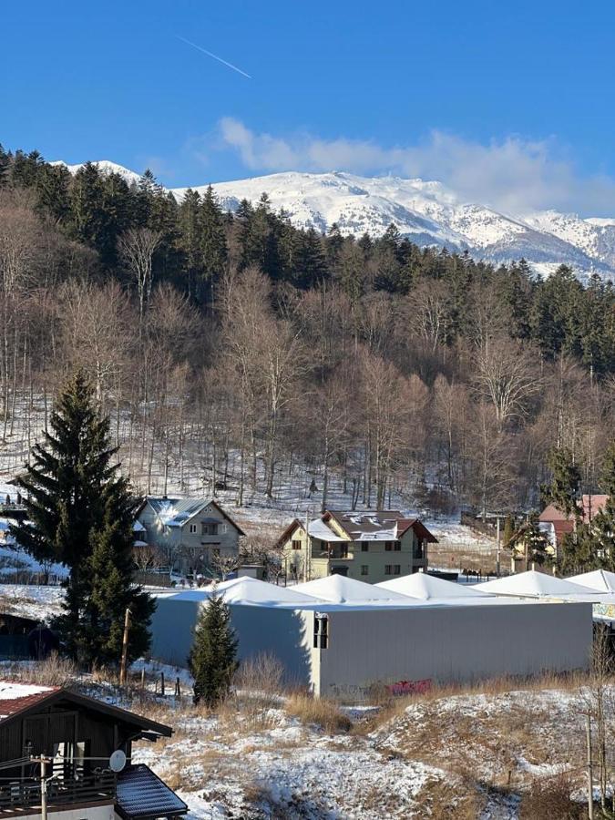 Coca Apart Mountain View Sinaia Eksteriør billede