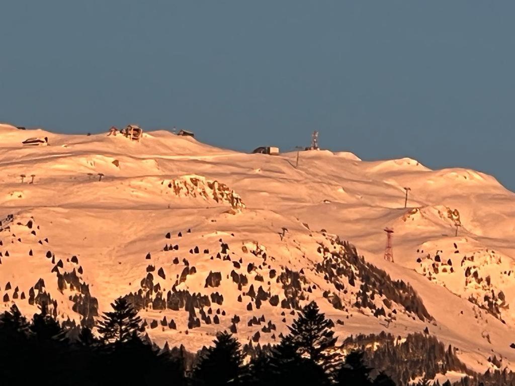 Coca Apart Mountain View Sinaia Eksteriør billede