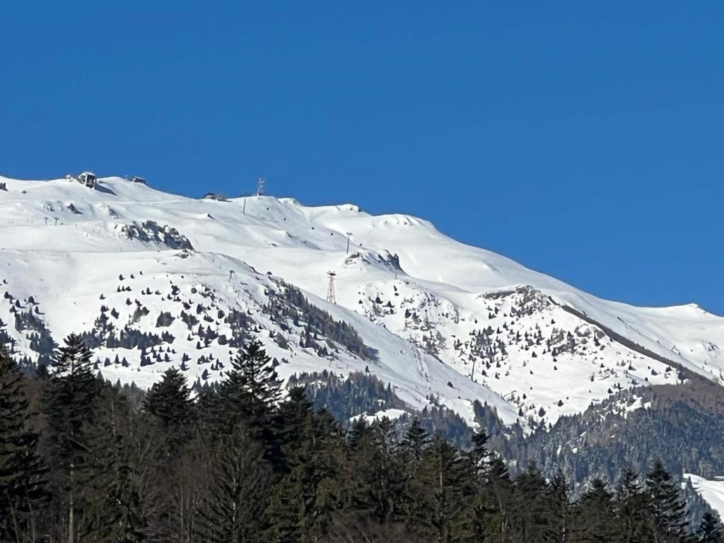 Coca Apart Mountain View Sinaia Eksteriør billede